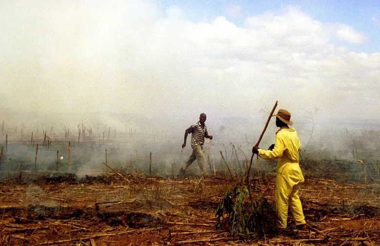 Zimbabwe to Compensate White Farmers for Land Seized 20 Years Ago